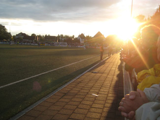 Abendsonne im Stadion Alexanderstrae